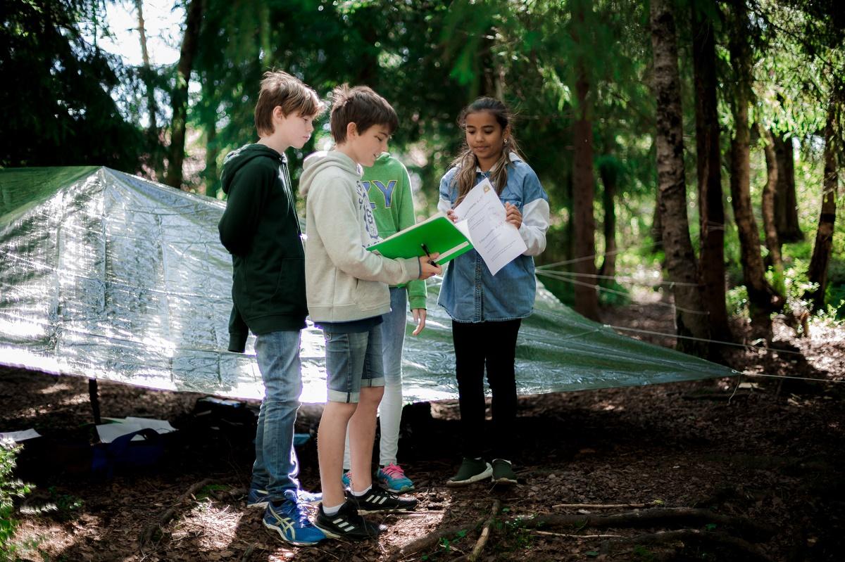 Den viktige timen - headerbilde